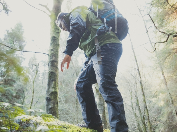 person hiking in a forrest